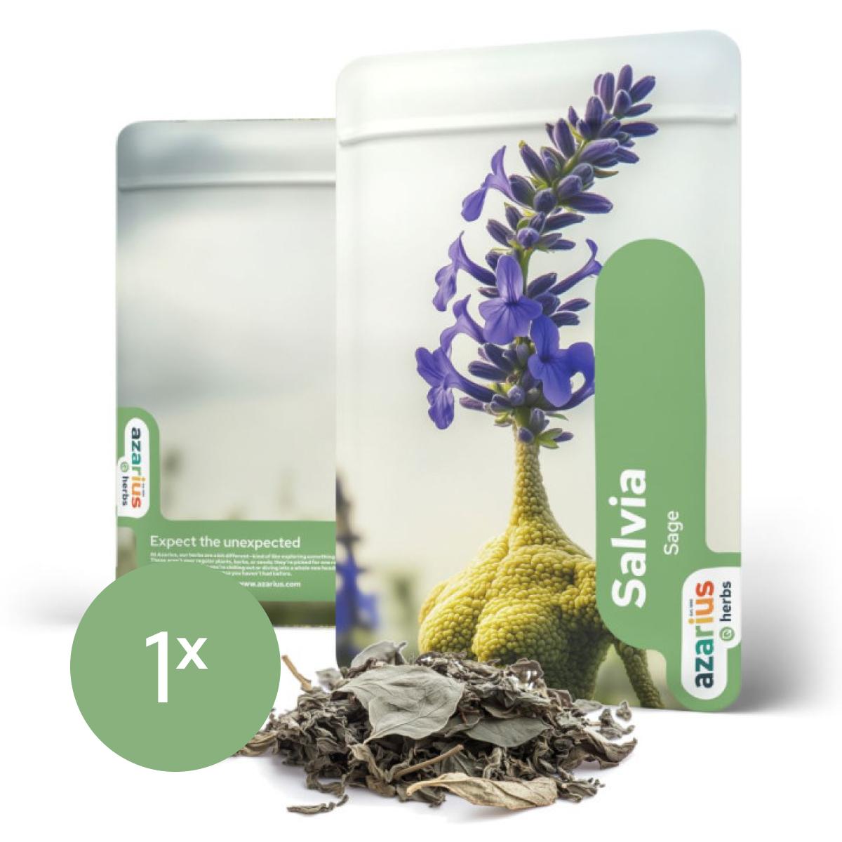Salvia Divinorum sušené listy 1x