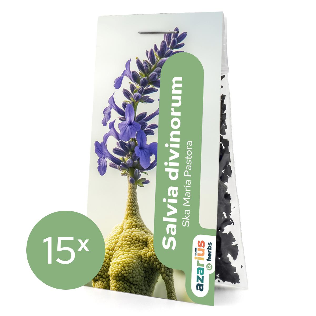 Salvia Divinorum sušené listy 1x