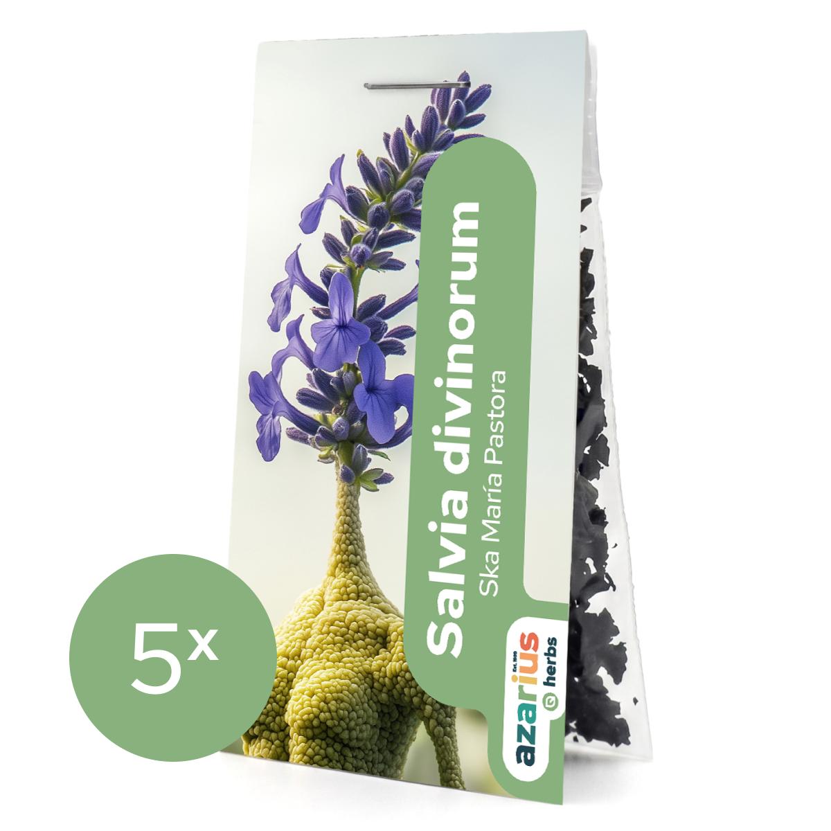 Salvia Divinorum sušené listy 1x