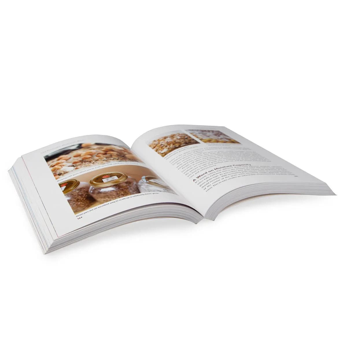 Bible lysohlávek – Kompletní průvodce pěstováním