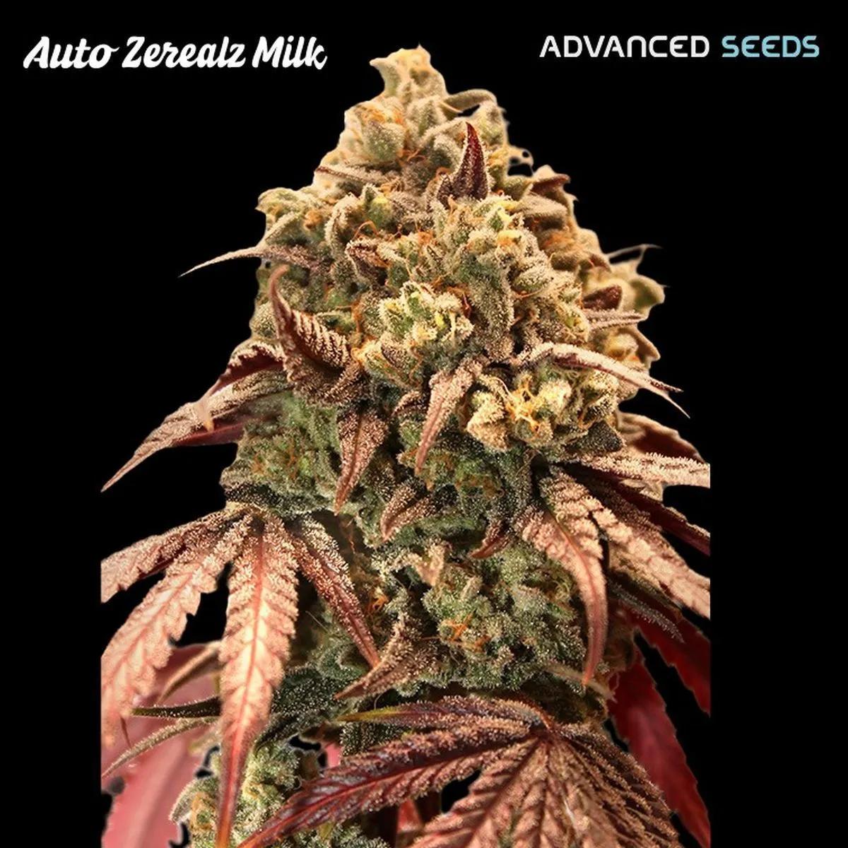 Auto Zerealz Milk