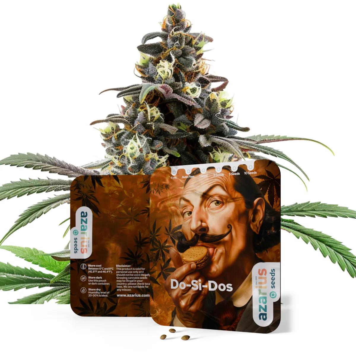 Do-Si-Dos Auto