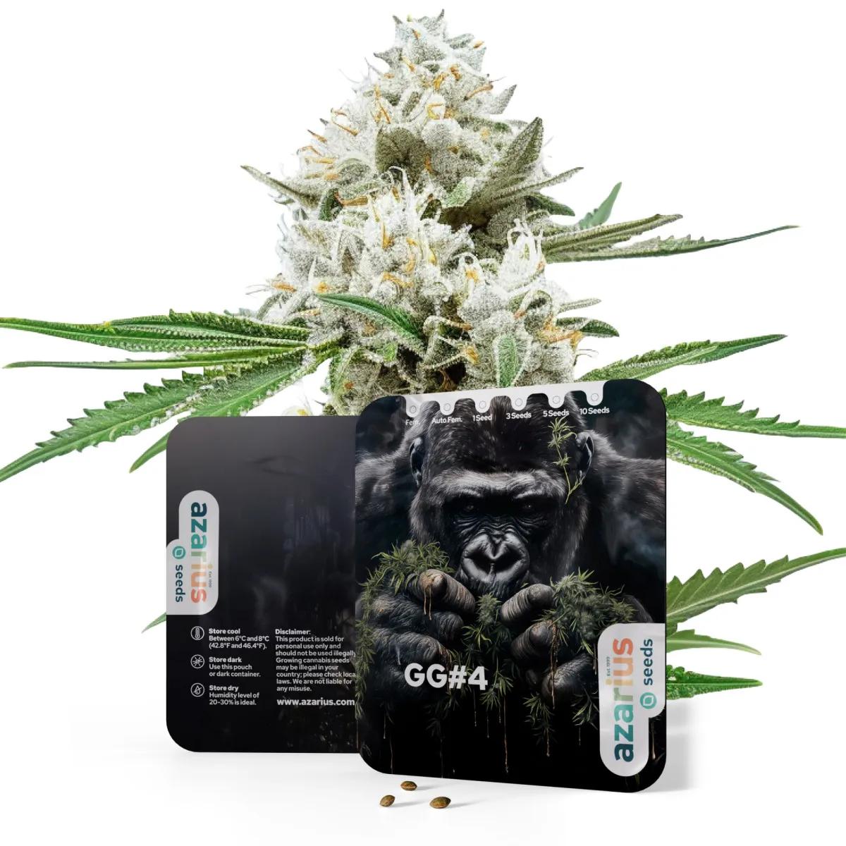 GG4 Auto