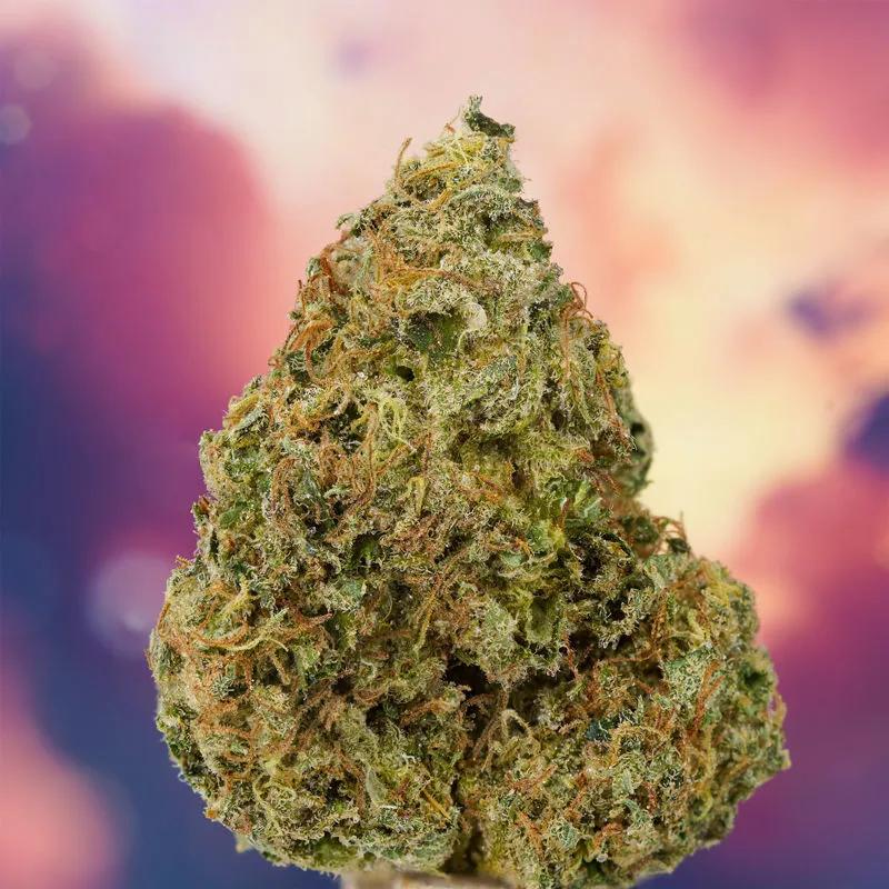 Ice Cream Haze