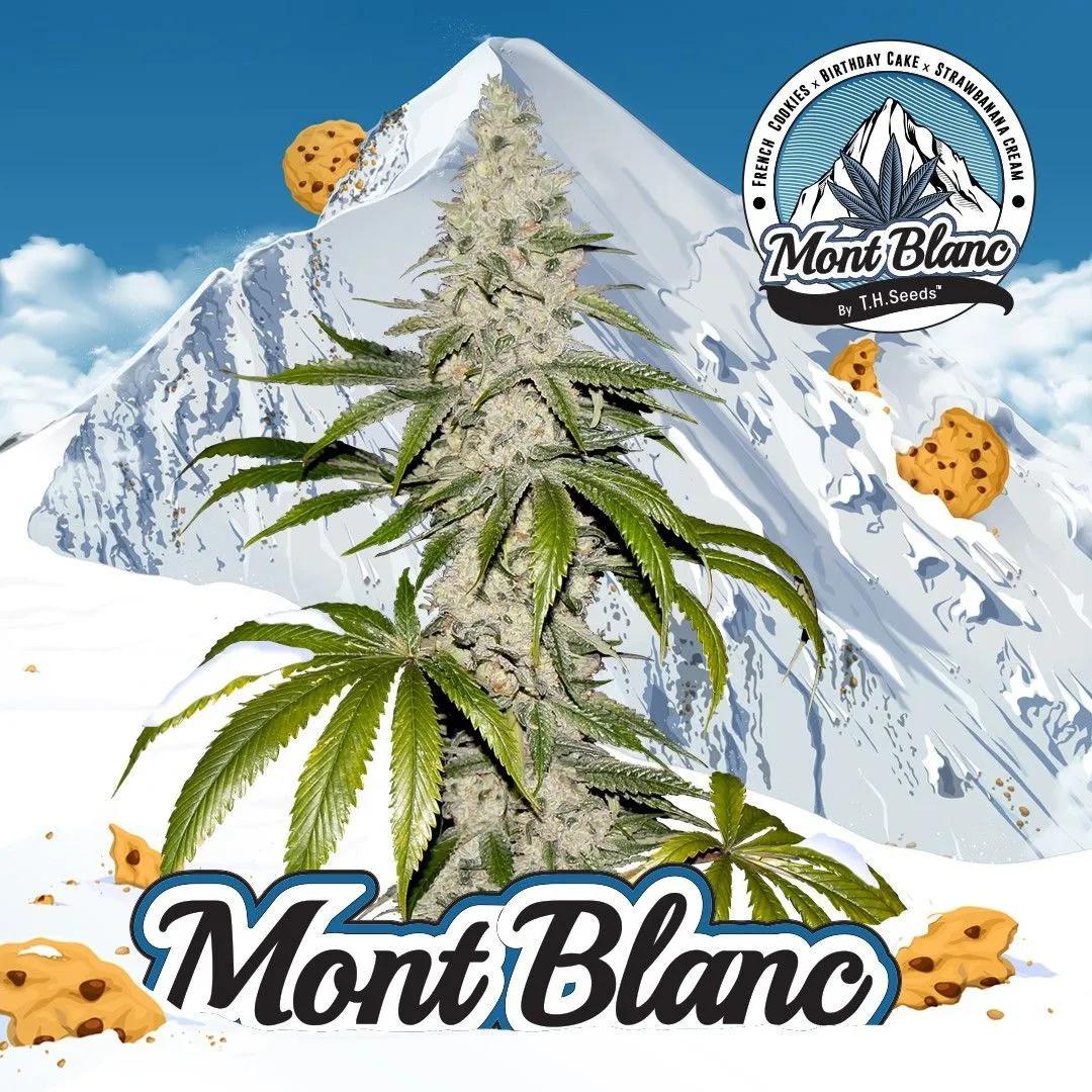 Mont Blanc (T.H.Seeds)