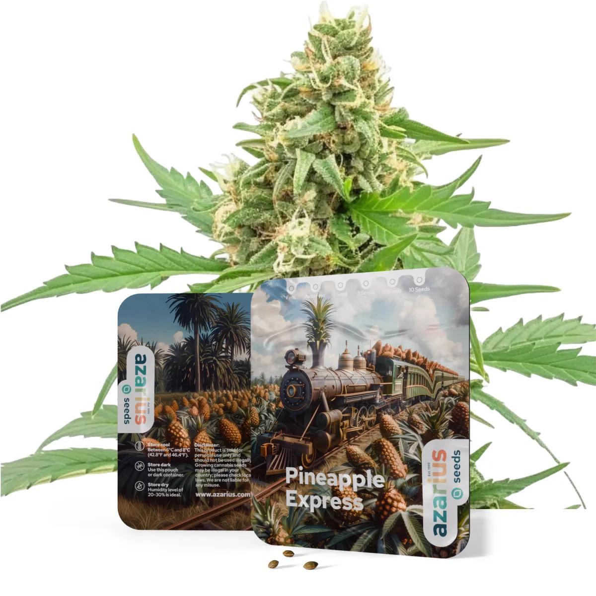Pineapple Express Auto