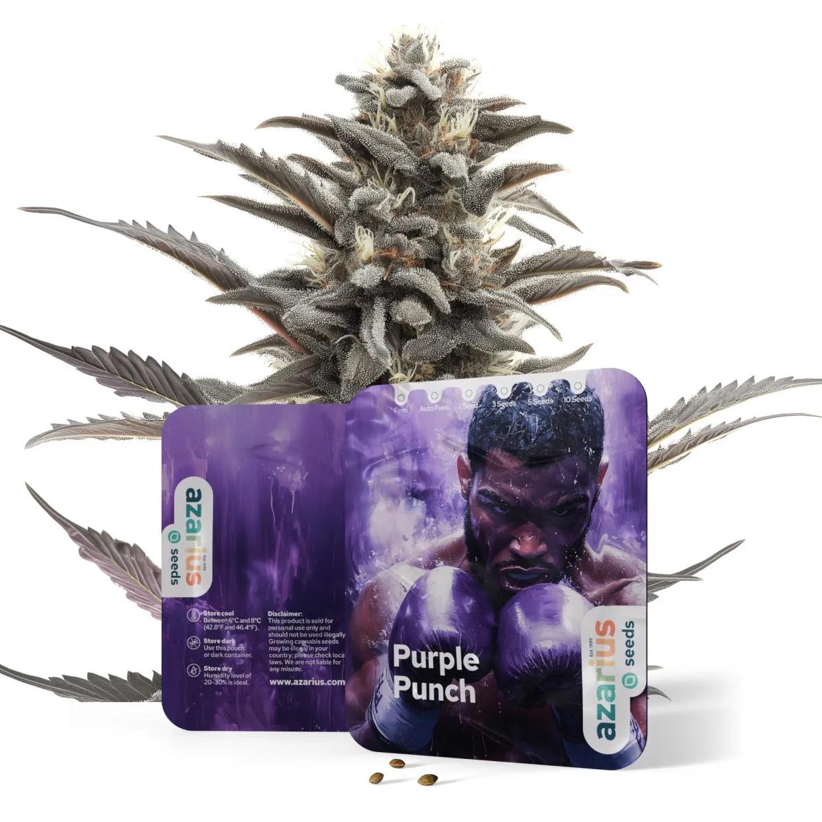 Purple Punch