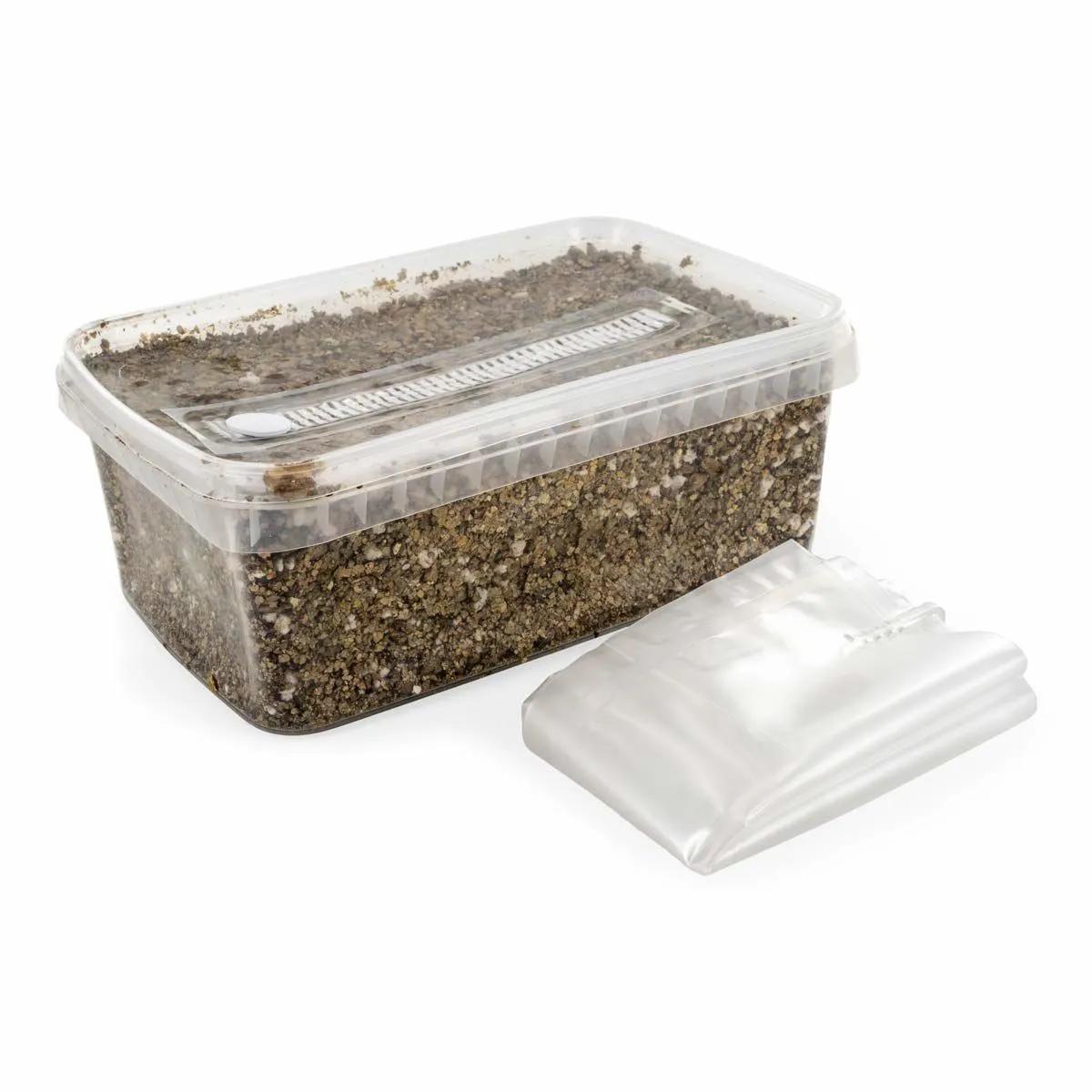 Sterilizovaný substrátový kit