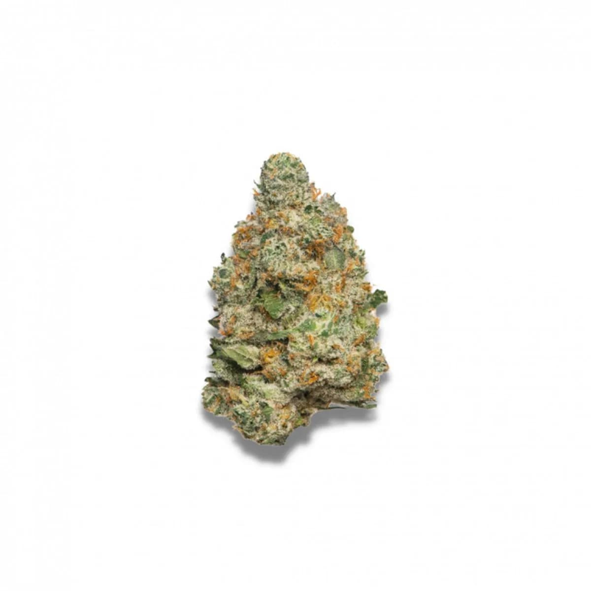Apple Fritter