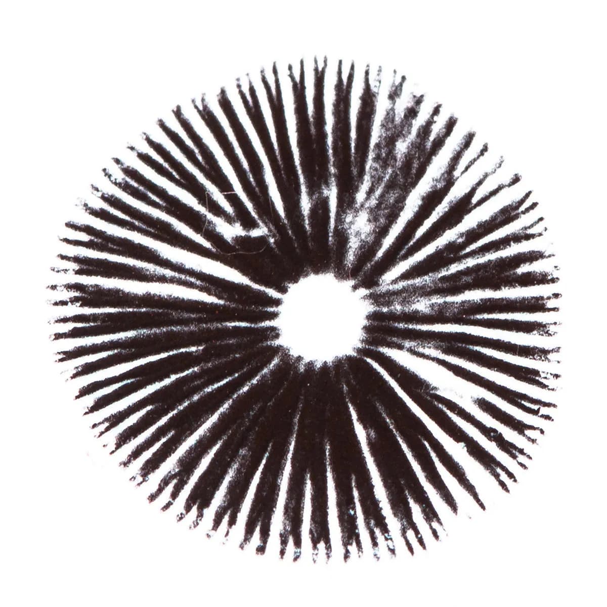 Sporový otisk Psilocybe Cubensis Golden Teacher