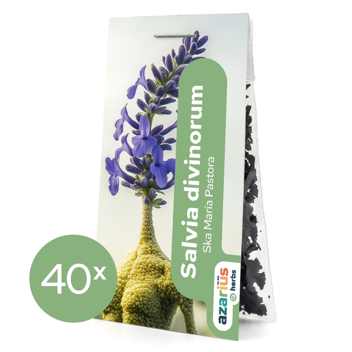 Salvia Divinorum sušené listy 1x — obrázek 7