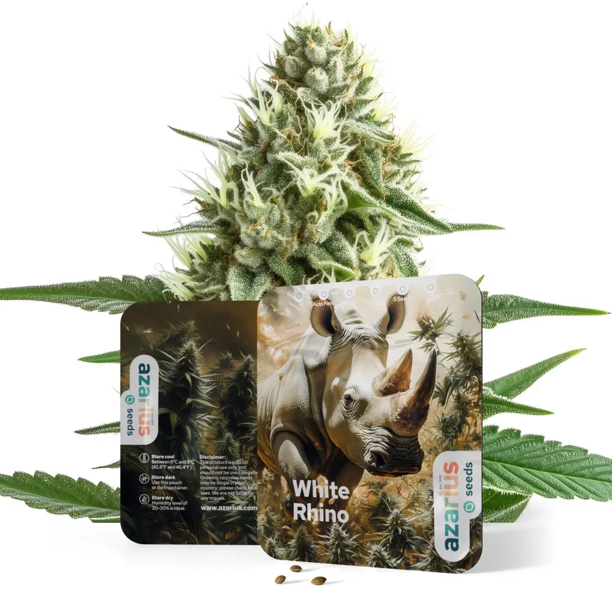 White Rhino Auto